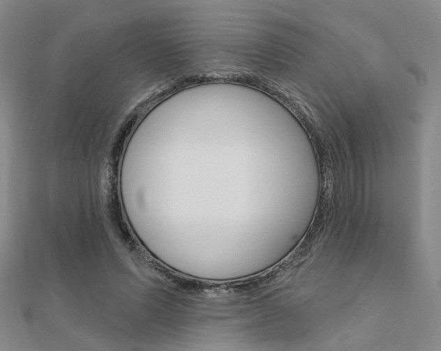 X0000112160591200908070940
