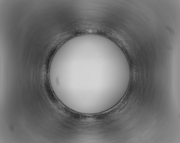 X0000112160594200908070940