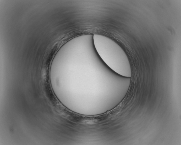 X0000112160595200908070940