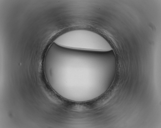X0000112160596200908070940