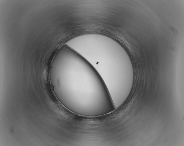 X0000112160597200908070940