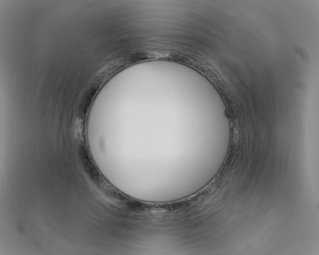 X0000112160598200908070940