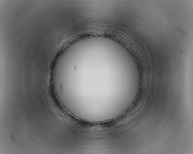X0000112160600200908070940