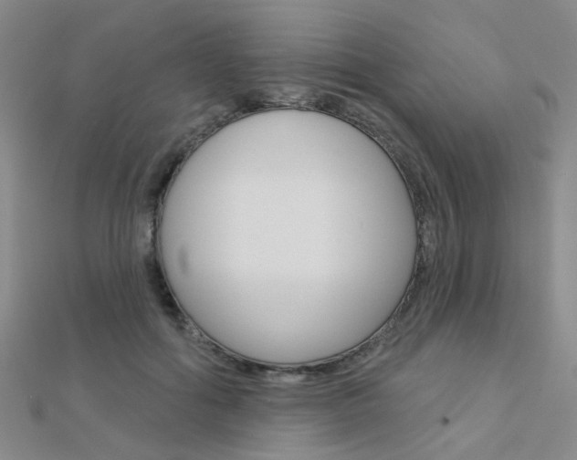 X0000112160602200908070940