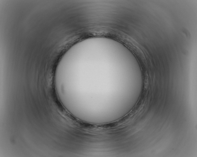 X0000112160604200908070940