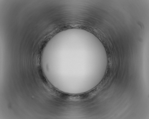 X0000112160606200908070940