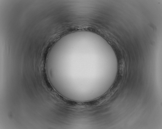 X0000112160608200908070940