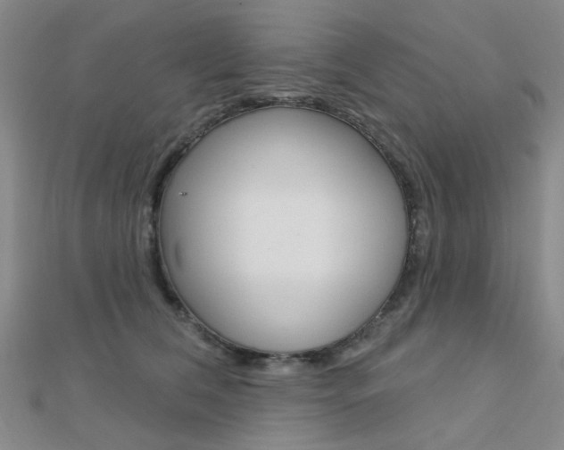 X0000112160612200908070940