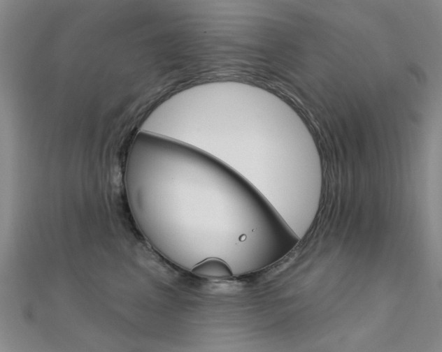 X0000112160617200908070940