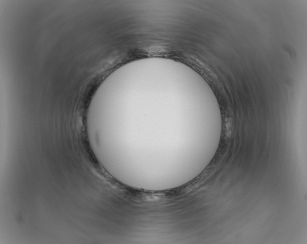 X0000112160618200908070940