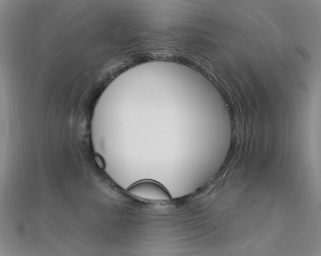 X0000112160619200908070940