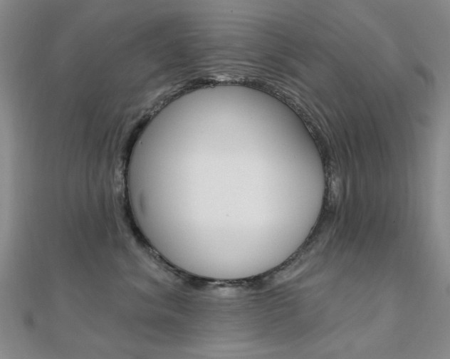 X0000112160620200908070940
