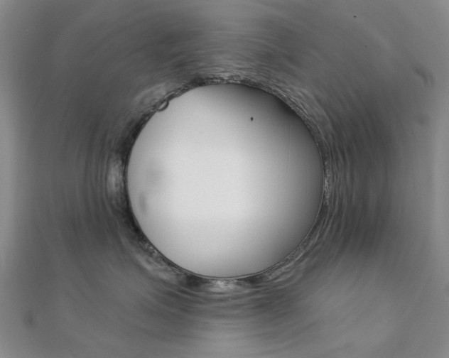 X0000112160623200908070940