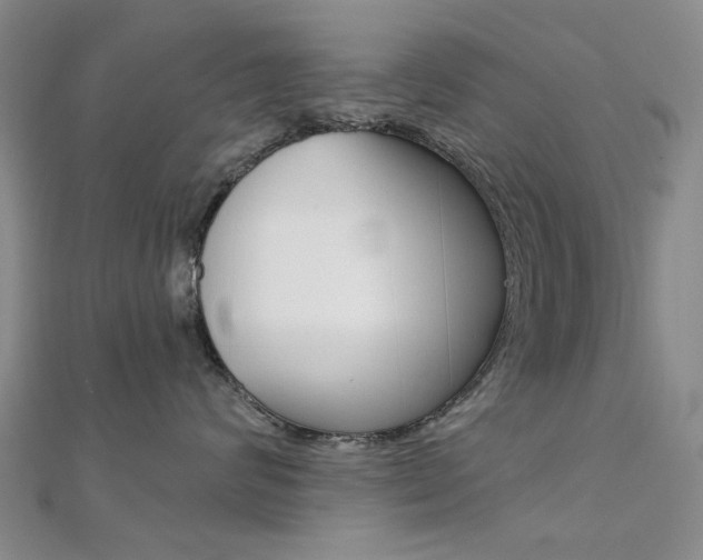 X0000112160624200908070940