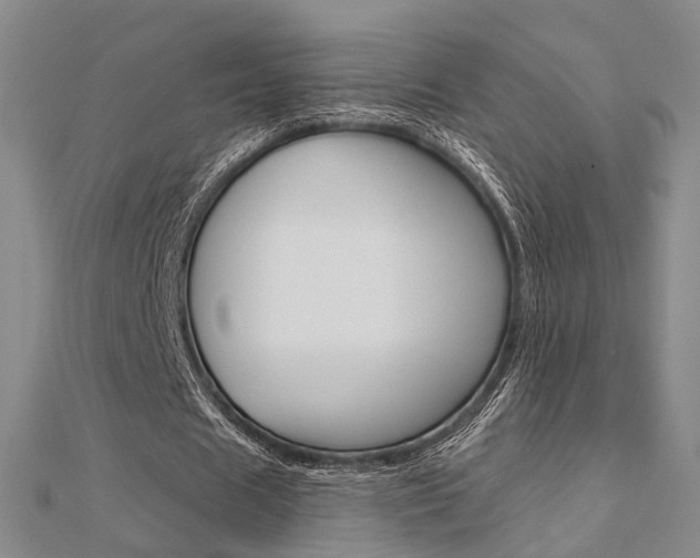 X0000112160625200908070939