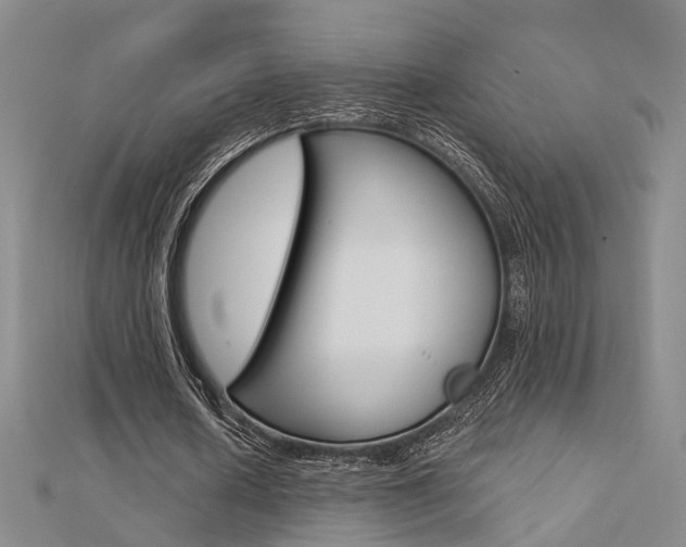 X0000112160626200908070939