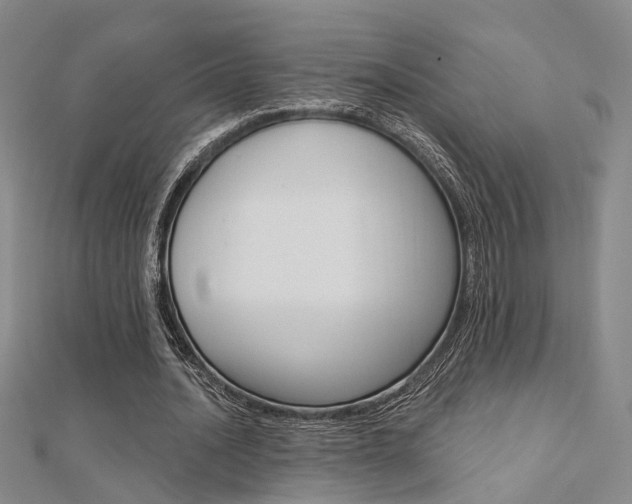 X0000112160628200908070939