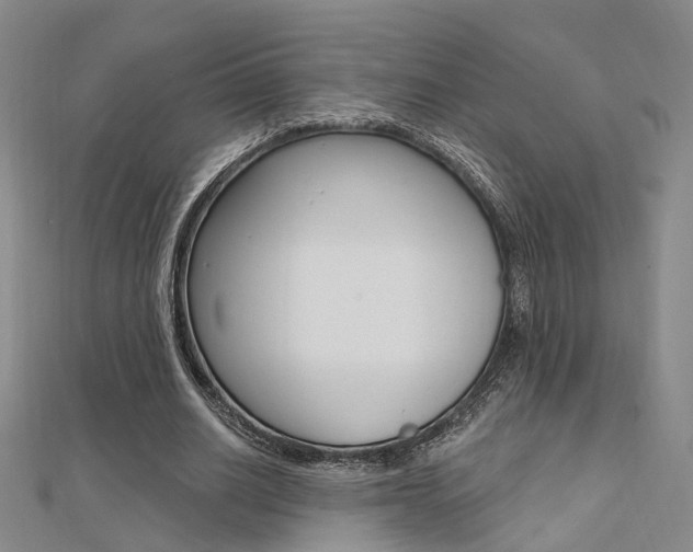 X0000112160630200908070939