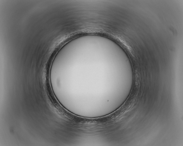 X0000112160631200908070939
