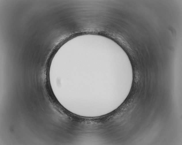 X0000112160632200908070939