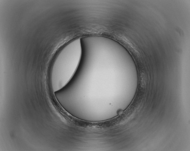 X0000112160634200908070939
