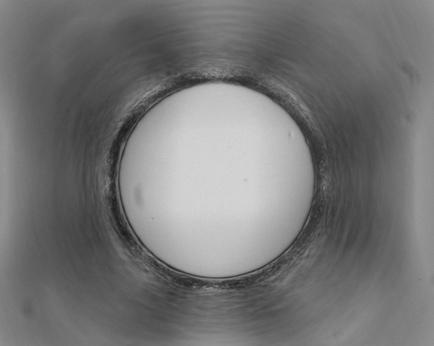 X0000112160635200908070939