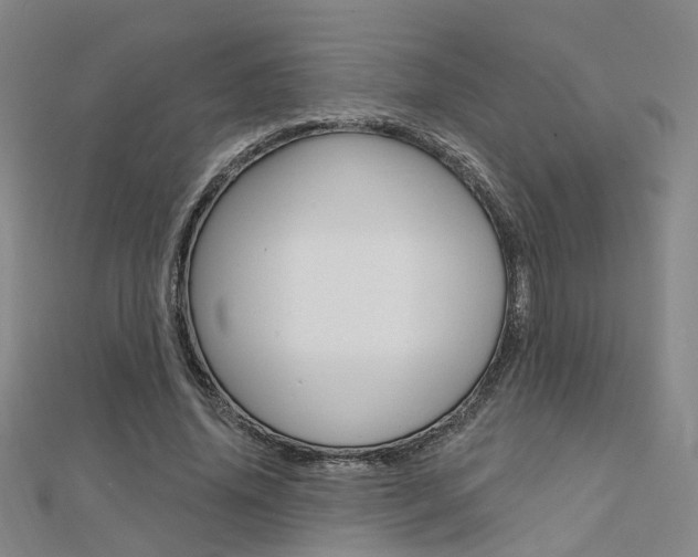 X0000112160636200908070939