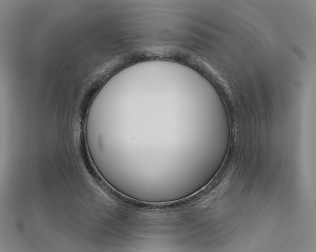 X0000112160637200908070939