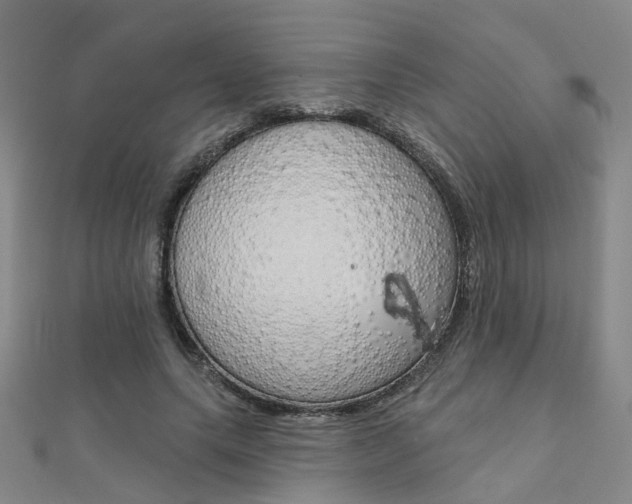 X0000112160639200908070939