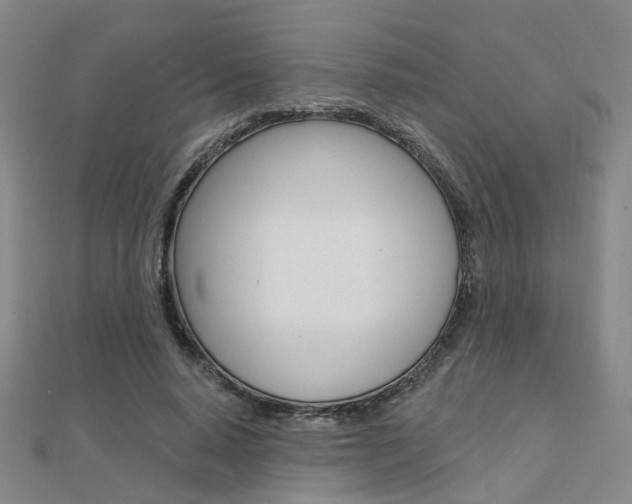 X0000112160640200908070939