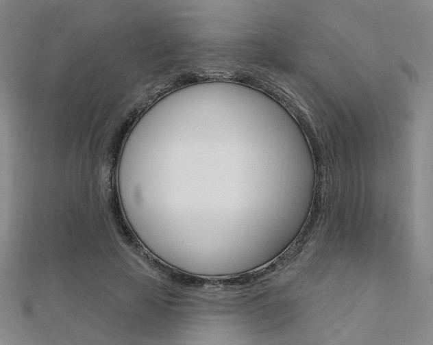 X0000112160641200908070939