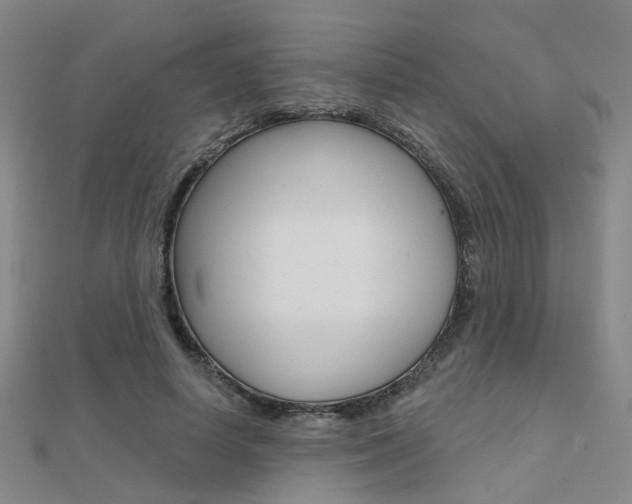 X0000112160642200908070939