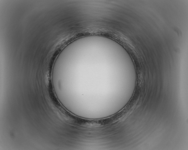 X0000112160644200908070939