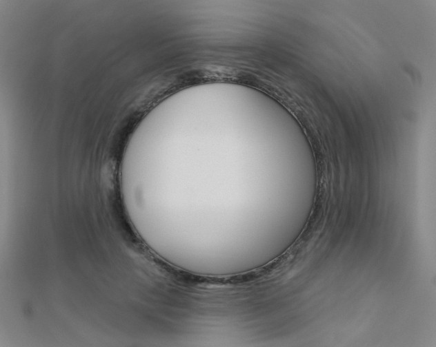 X0000112160649200908070939
