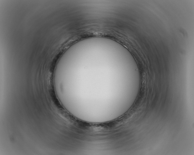 X0000112160650200908070939