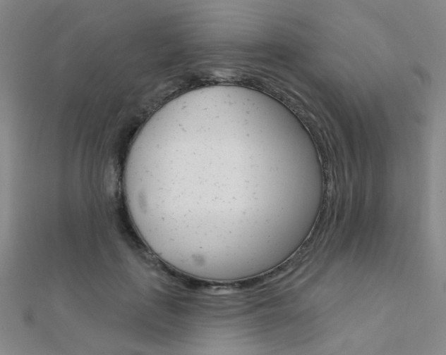 X0000112160651200908070939