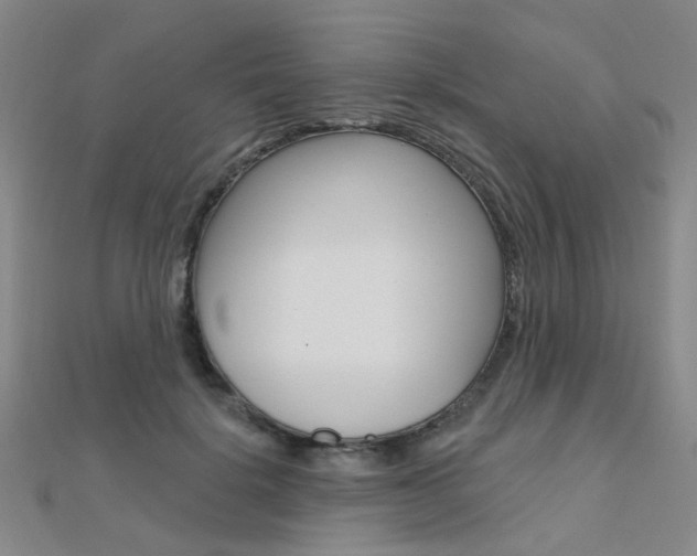 X0000112160652200908070939