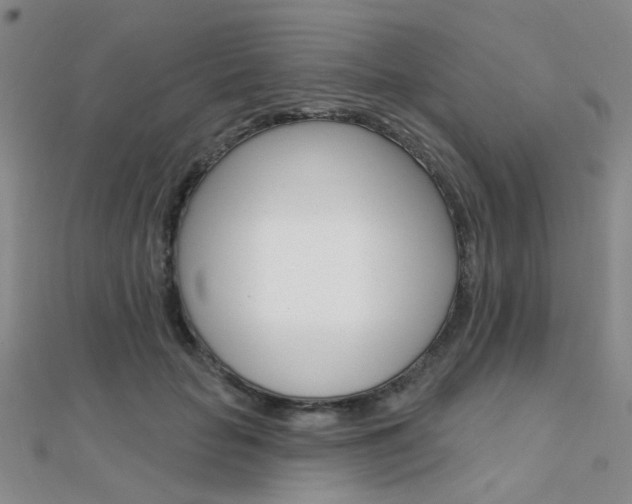 X0000112160653200908070939