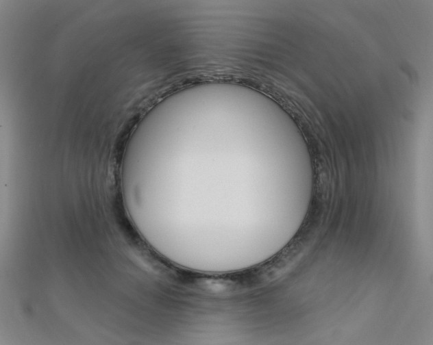 X0000112160654200908070939