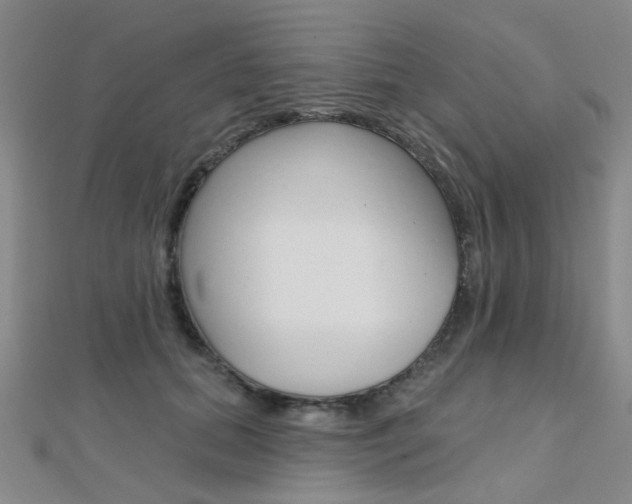 X0000112160655200908070939
