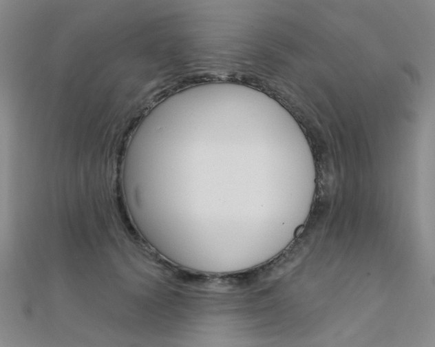 X0000112160656200908070939