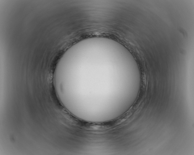 X0000112160657200908070939
