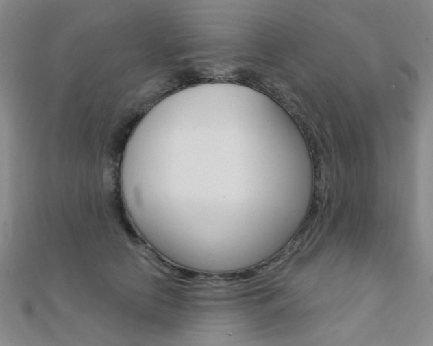 X0000112160658200908070939