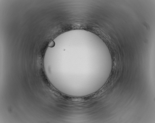 X0000112160659200908070939