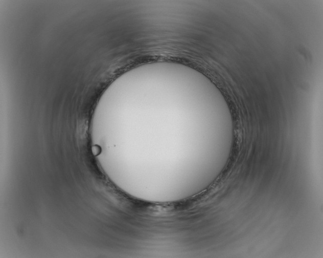 X0000112160660200908070939