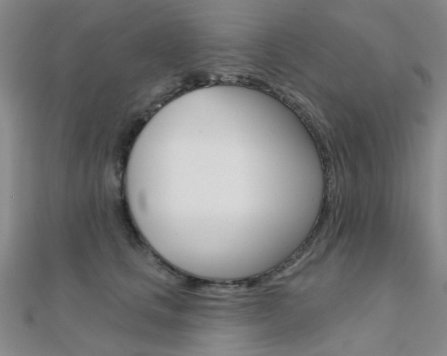 X0000112160661200908070939