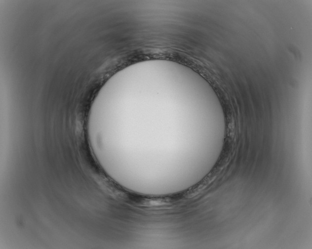 X0000112160662200908070939