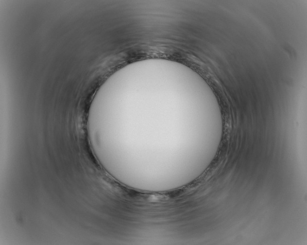X0000112160663200908070939