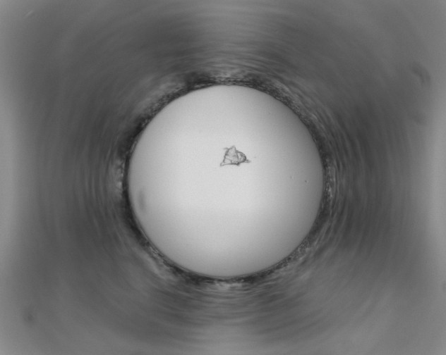 X0000112160664200908070939
