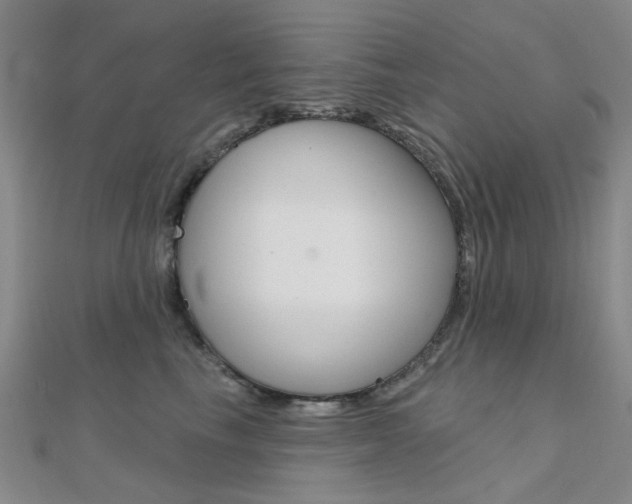X0000112160665200908070939
